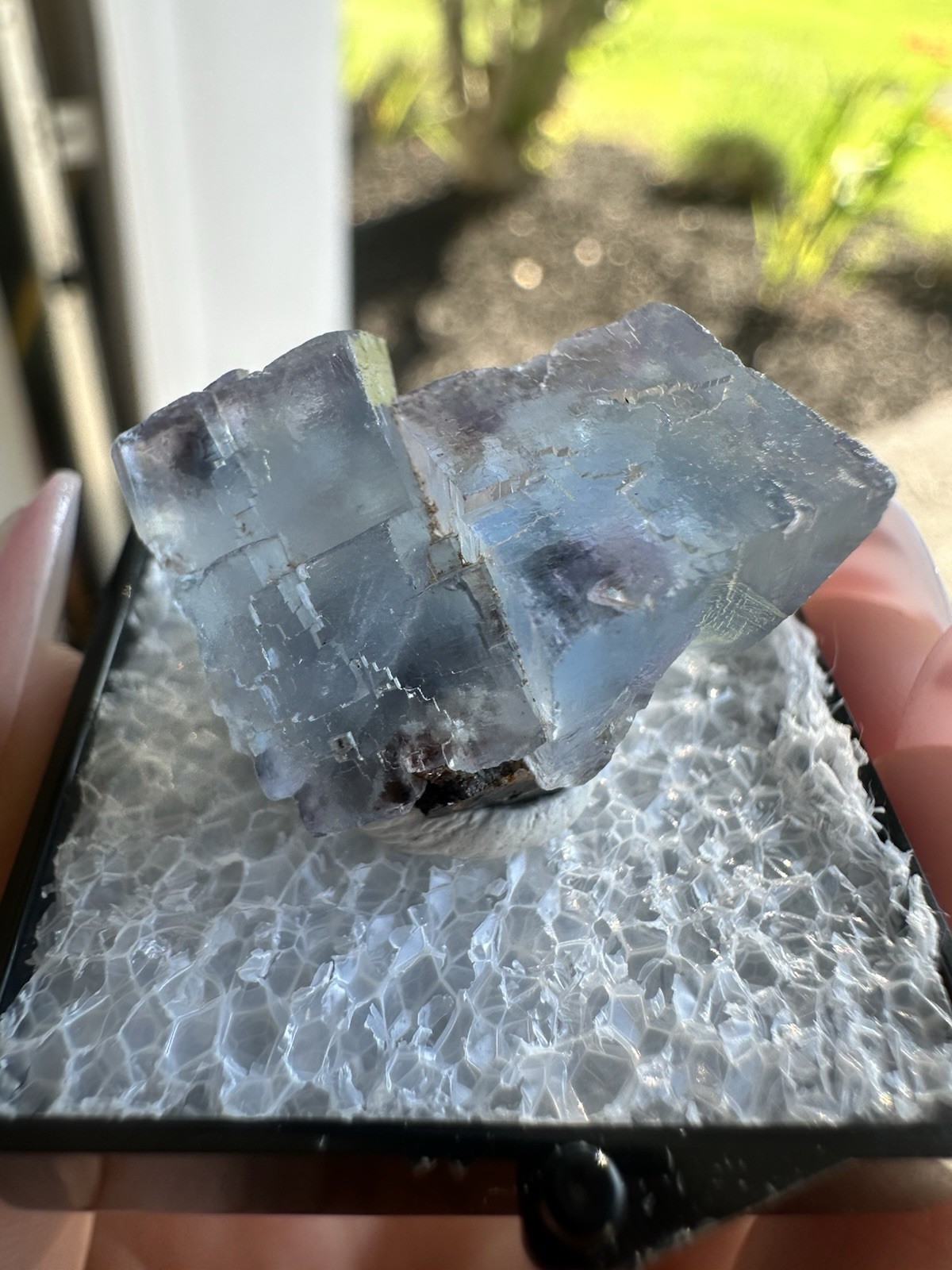 Blue Fluorite, Minerva No. 1 Illinois