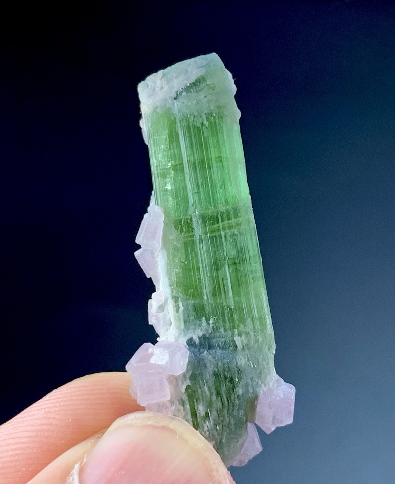 36 Ct Apatite Crystals Cluster On Tourmaline Matrix Specimen Afghanistan