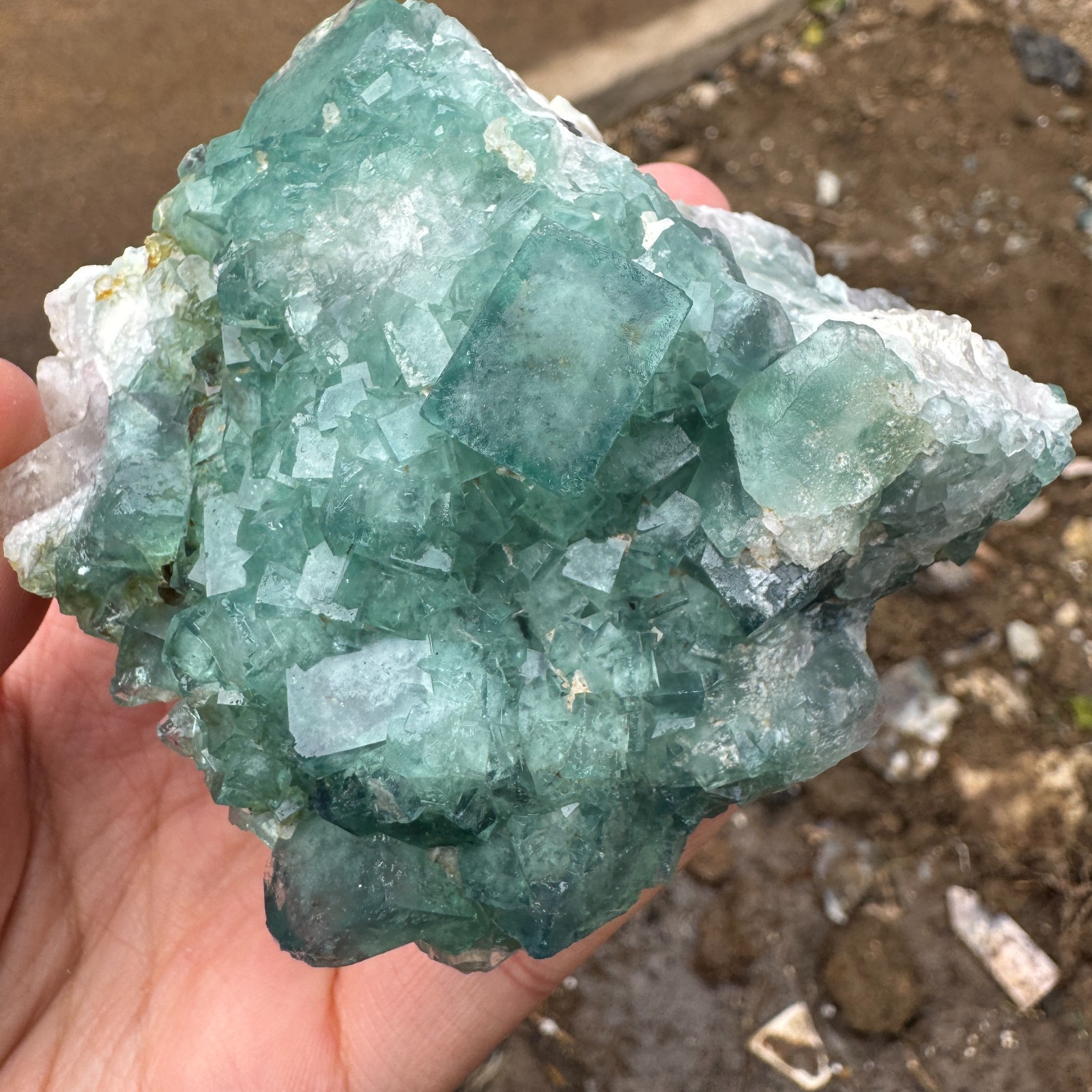 230G Natural cubic green fluorite crystal cluster rough mineral specimen Healing