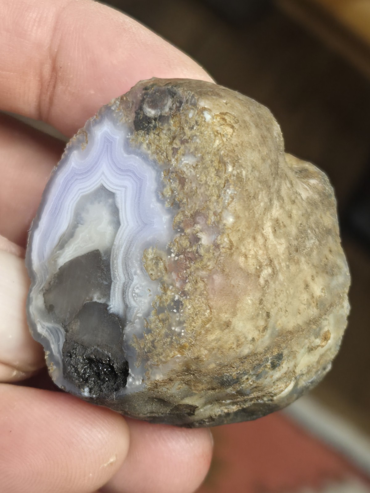 Mulligan Peak Agate 2.7. Vibrant Purple Banding Cut Not Polished