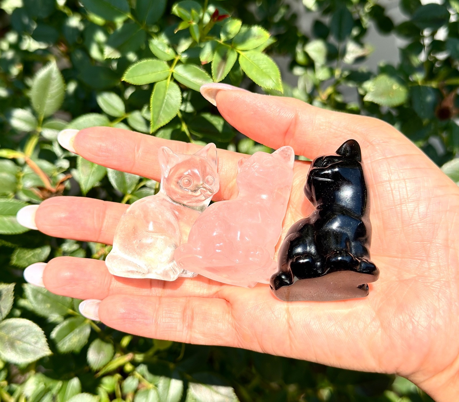 Wholesale Lot 6 Pcs 2” Mixed Natural Crystals Cat Healing Energy