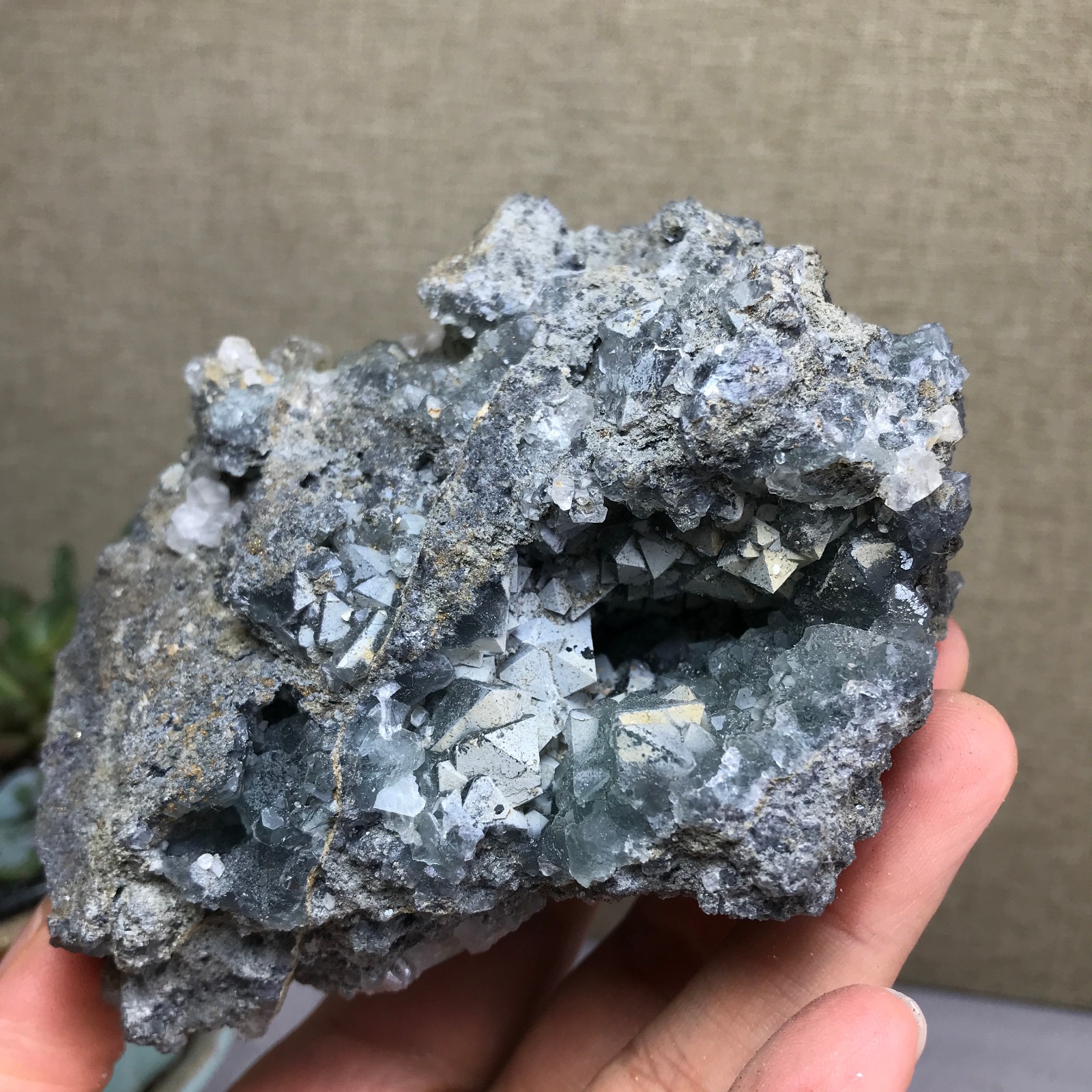 476g NATURAL Green Cubic FLUORITE paragenesis Crystal Cluster Specimen A4780