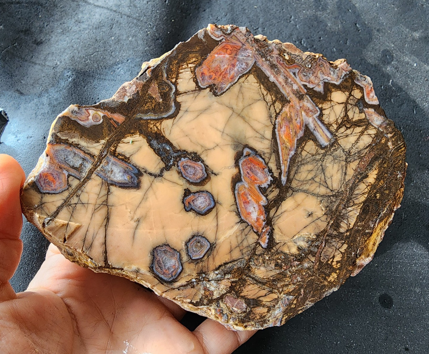 3.3 lbs (1.5 kg) Unpolished Agate, Almus Agate, Large Agate Pair, アゲートのペア, العقي
