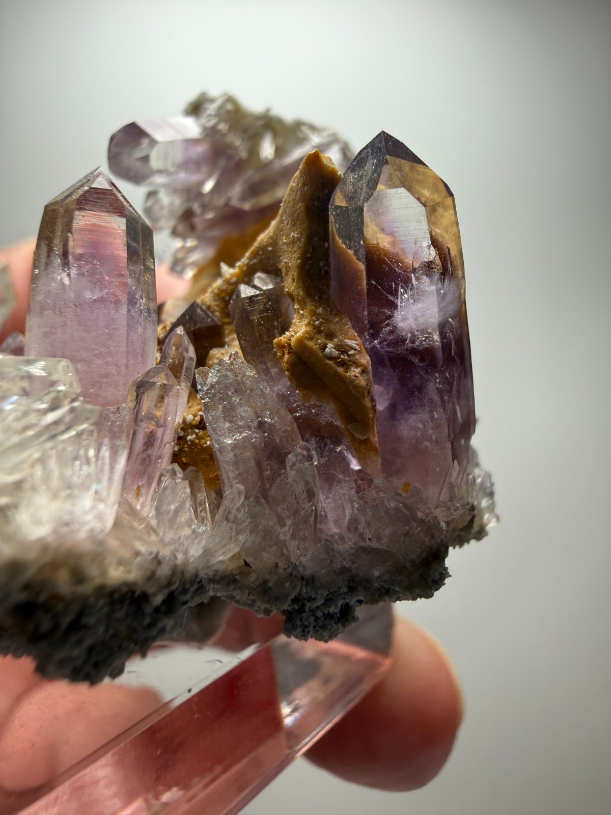 Stunning Amethyst cluster- unique formation! Las Vigas de Ramirez, Mexico