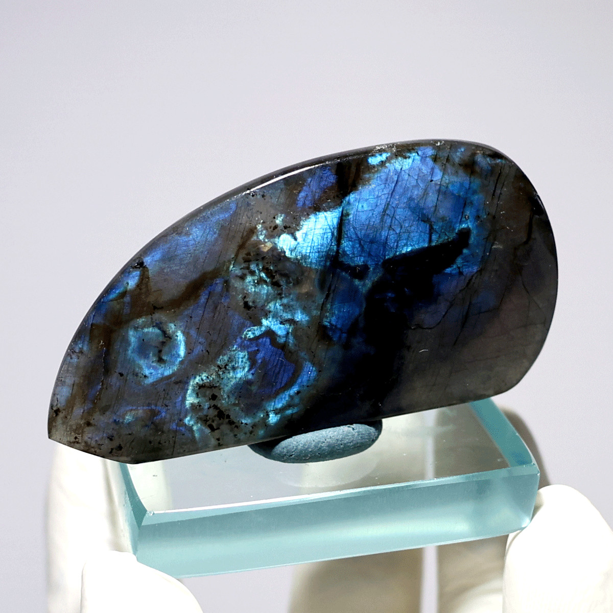 Collision Of Colors~ Natural Aurora Spectrolite Polished Hi-Quality Crystal Slab