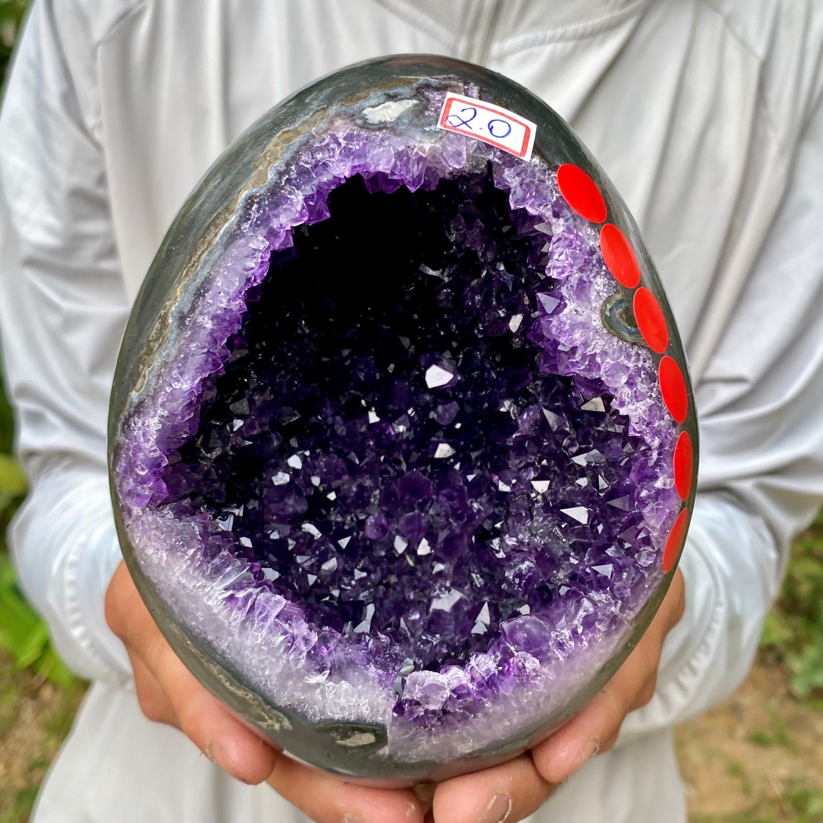 4.38LB Natural amethyst Dinosaur egg Quartz Crystal specimen healing