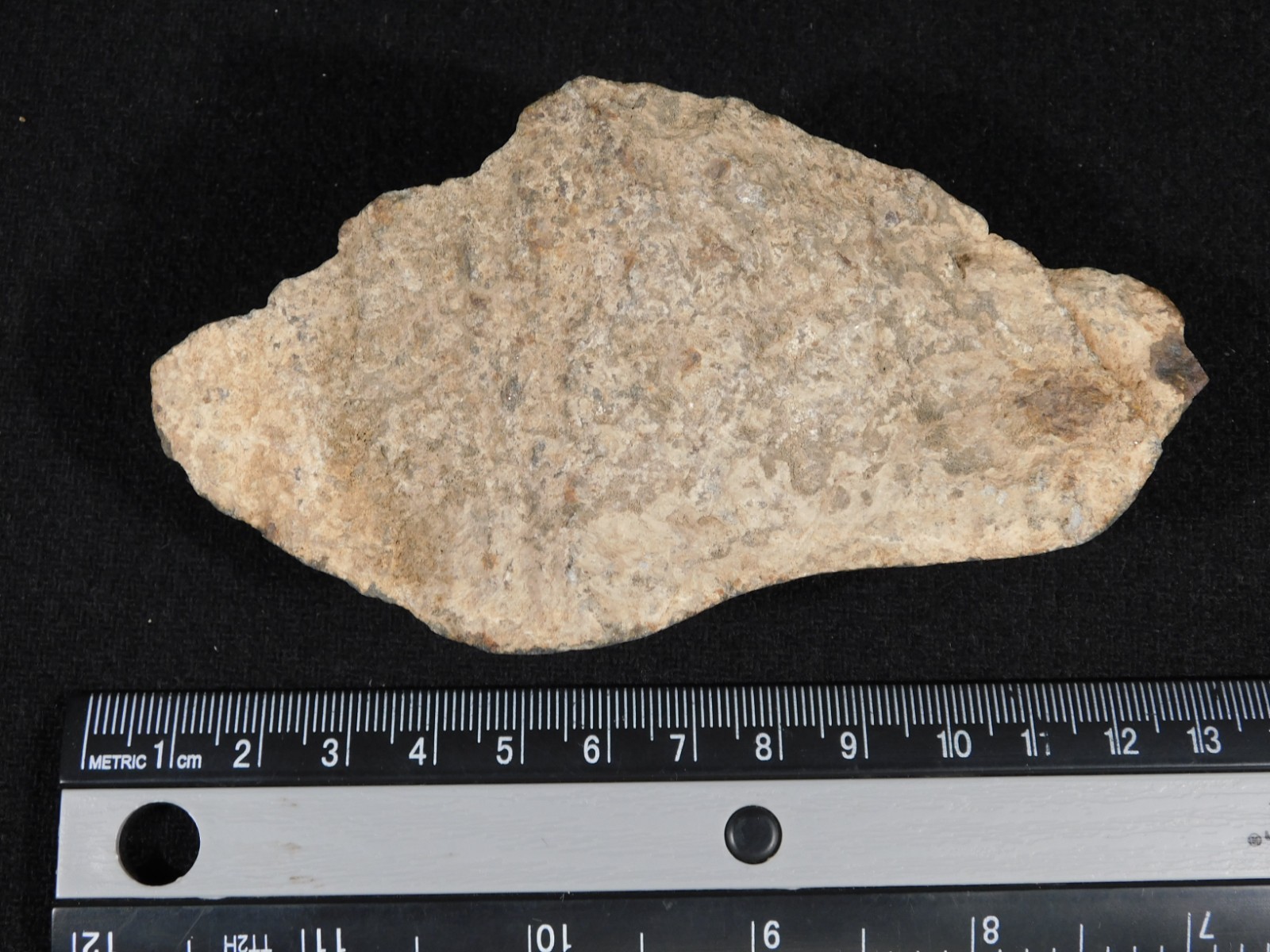 Classified NWA 8245 METEORITE Dark Crust and Regmaglypts! Erfoud, Morocco 298gr