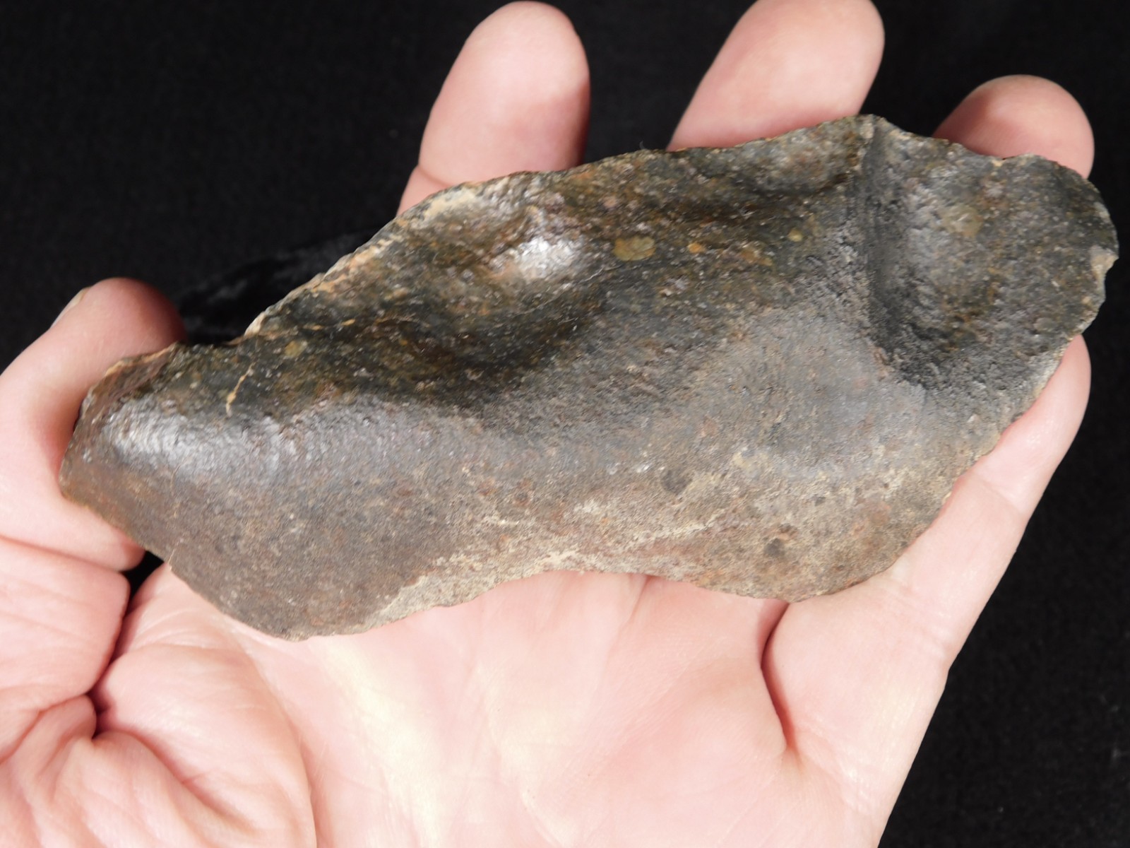 Classified NWA 8245 METEORITE Dark Crust and Regmaglypts! Erfoud, Morocco 298gr