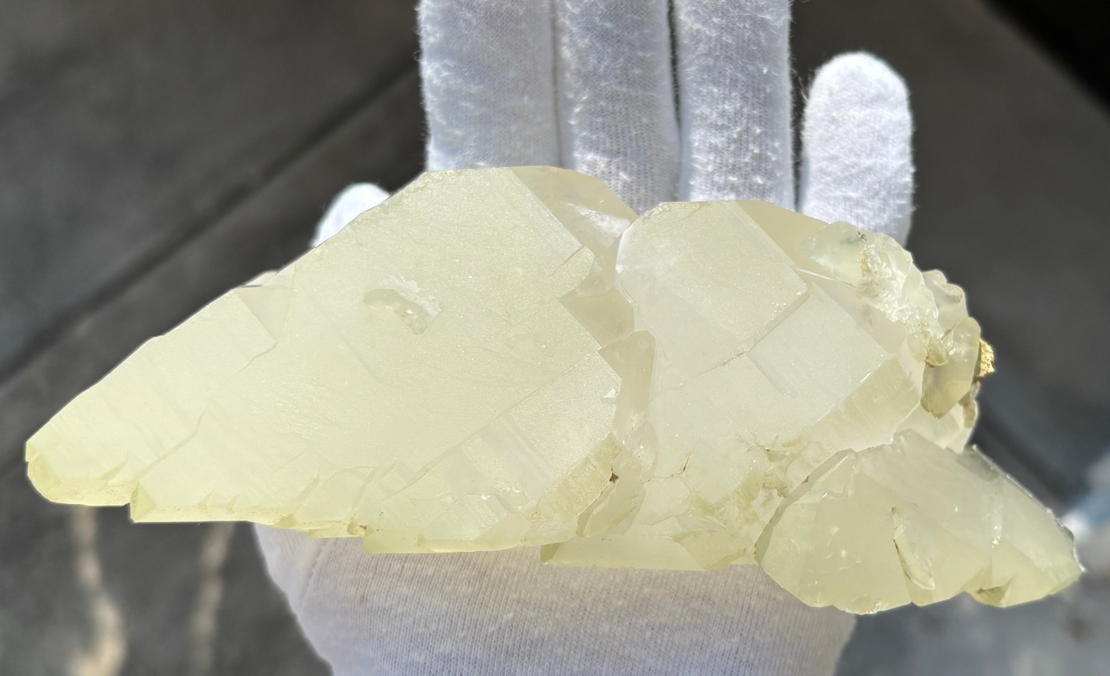USA SALE SEE VIDEO 479g 1LB+ 6.1″ LARGE ELESTIAL EPIDOTE QUARTZ CRYSTAL SPECIMEN