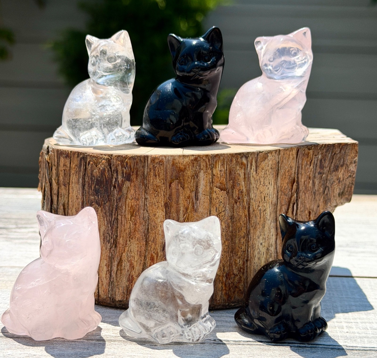 Wholesale Lot 6 Pcs 2” Mixed Natural Crystals Cat Healing Energy