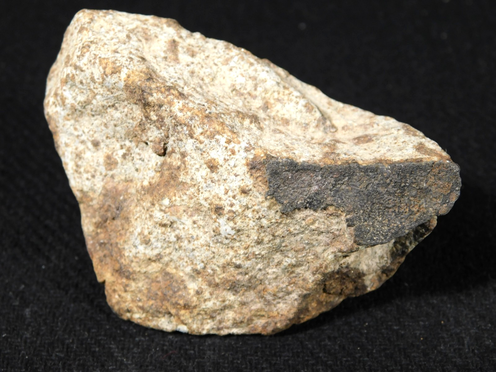Classified NWA 8245 METEORITE 100% Natural Erfoud, Morocco 147gr