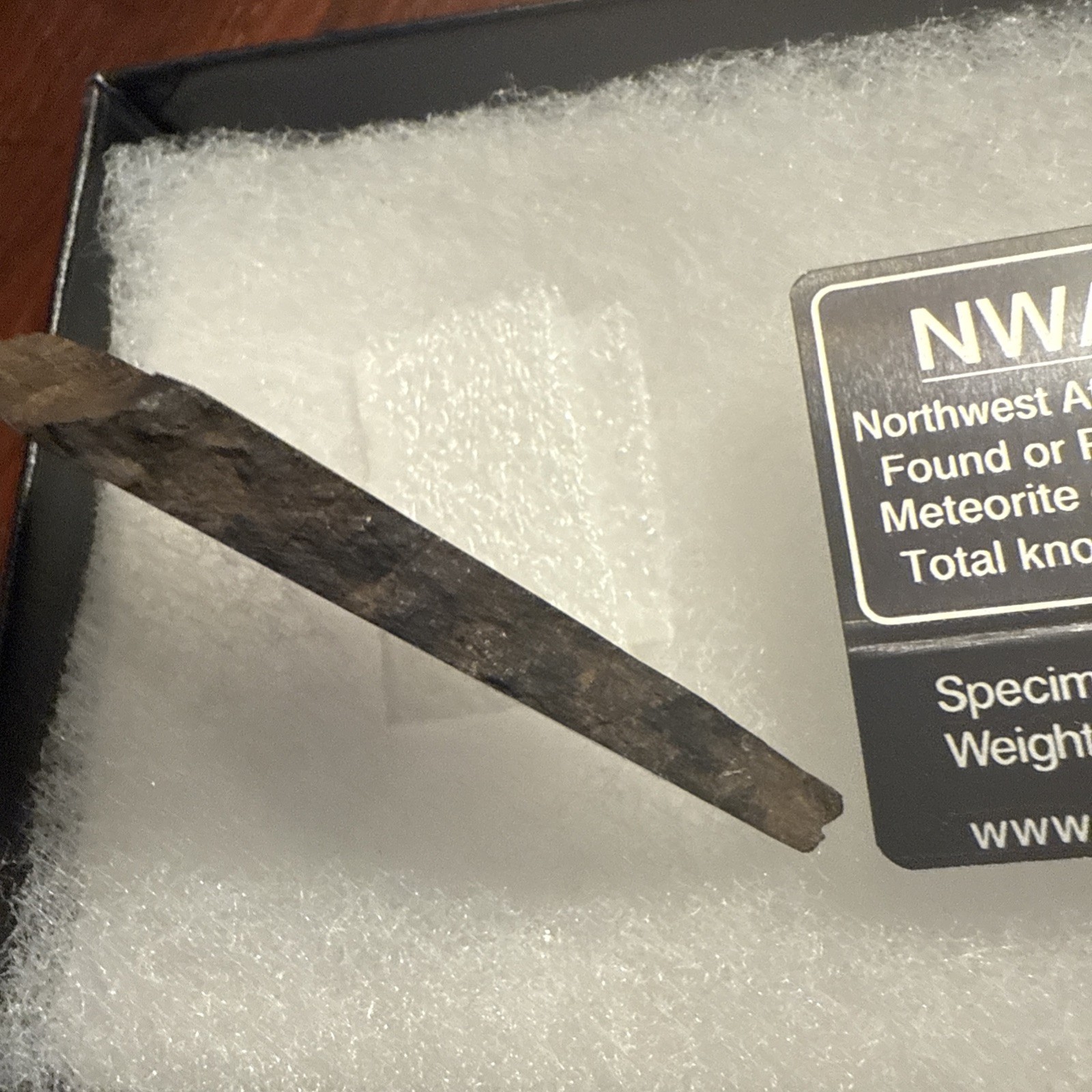 22.1 g Chondrite Meteorite Slice, Africa
