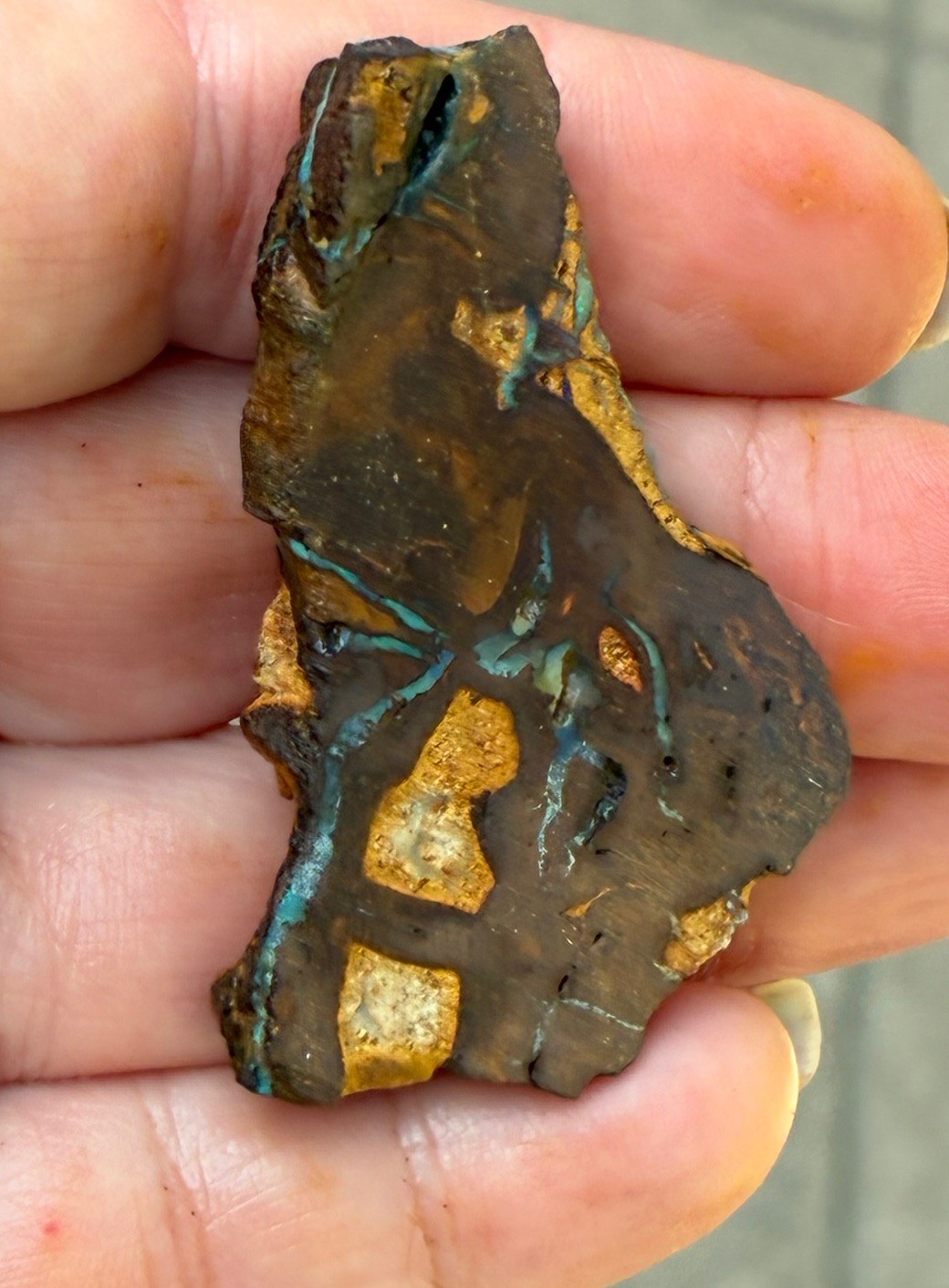 Beautiful 88ct Large Australian Boulder Opal Rough Loose Spider Specimen Green D