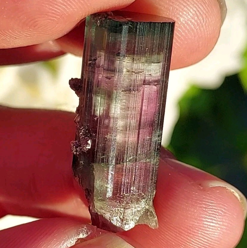 ULTRA RARE BURKHARD’S POCKET TOURMALINE NO REPAIRS PEDERNEIRA MINE BRAZIL