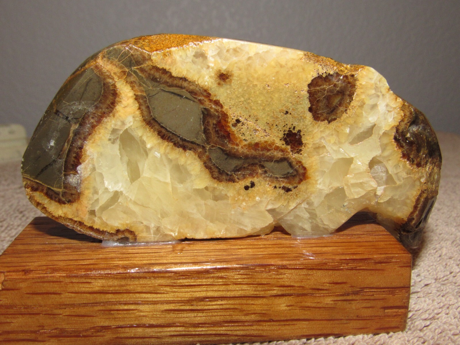 Septarian Nodule Mineral Specimen on Wooden Base – Mt. Carmel, Utah UT #2