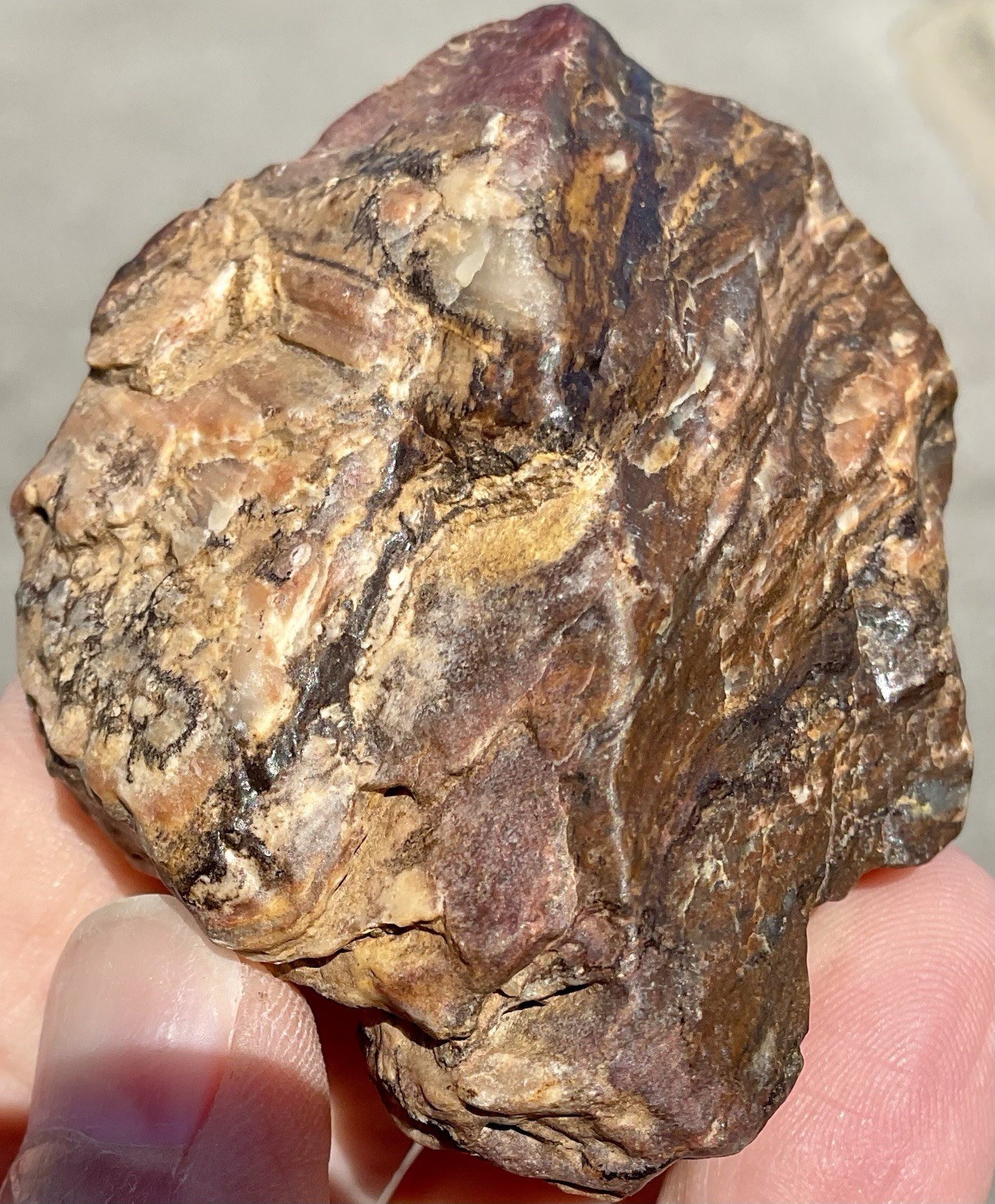 141g Banded Iron Petrified Wood Pseudomorph Rare Minnesota Rough Lapidary