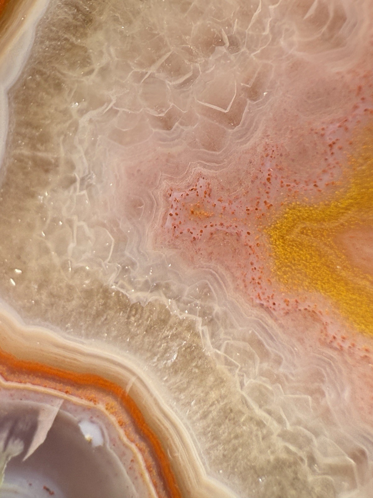 SEE VIDEO High-Grade Multicolor Moroccan Agate | High Atlas | Collector Specimen