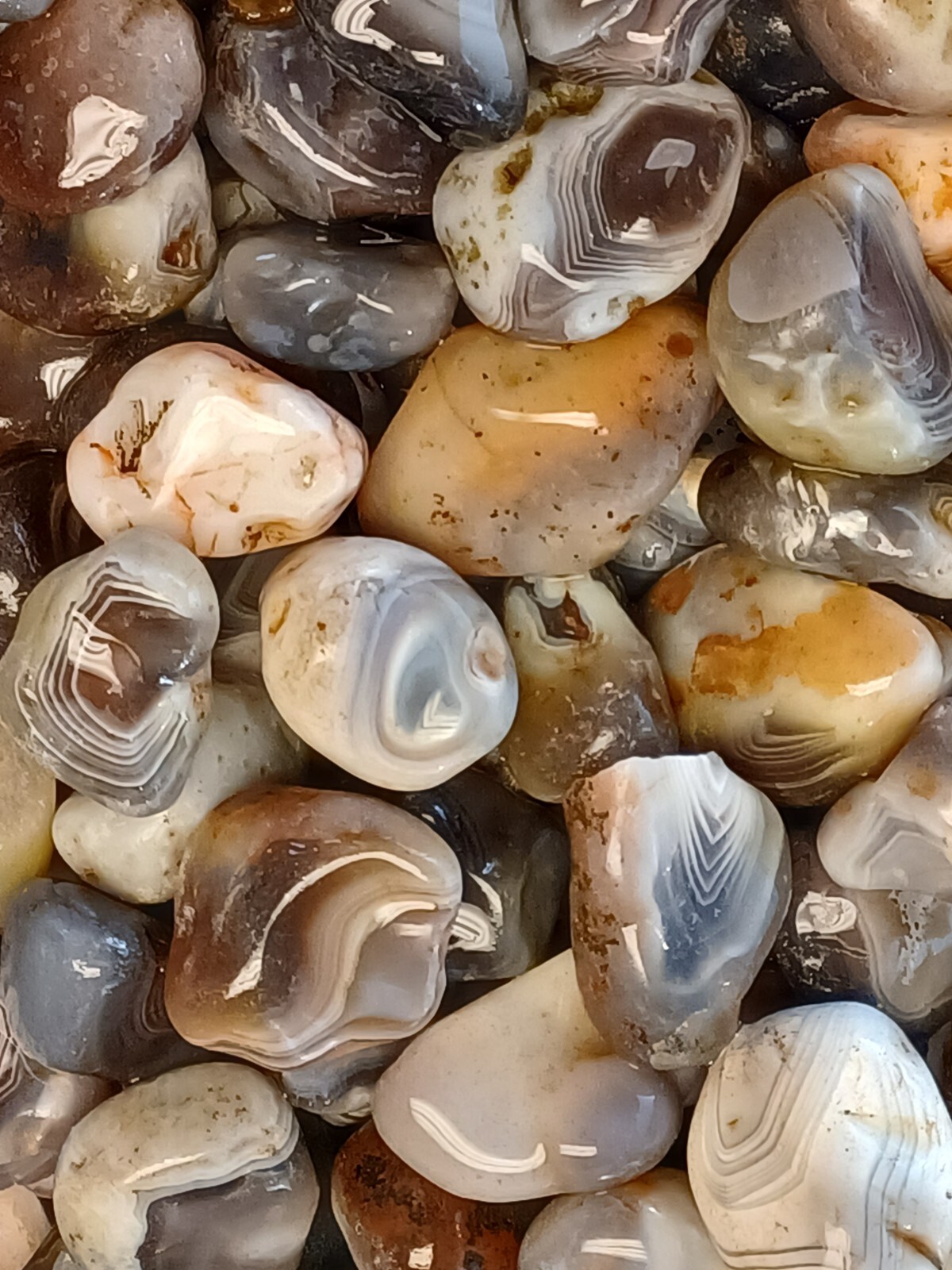 Botswana Agate rough 1-2″ A+ pound lbs tumbling lapidary banding wholesale bulk