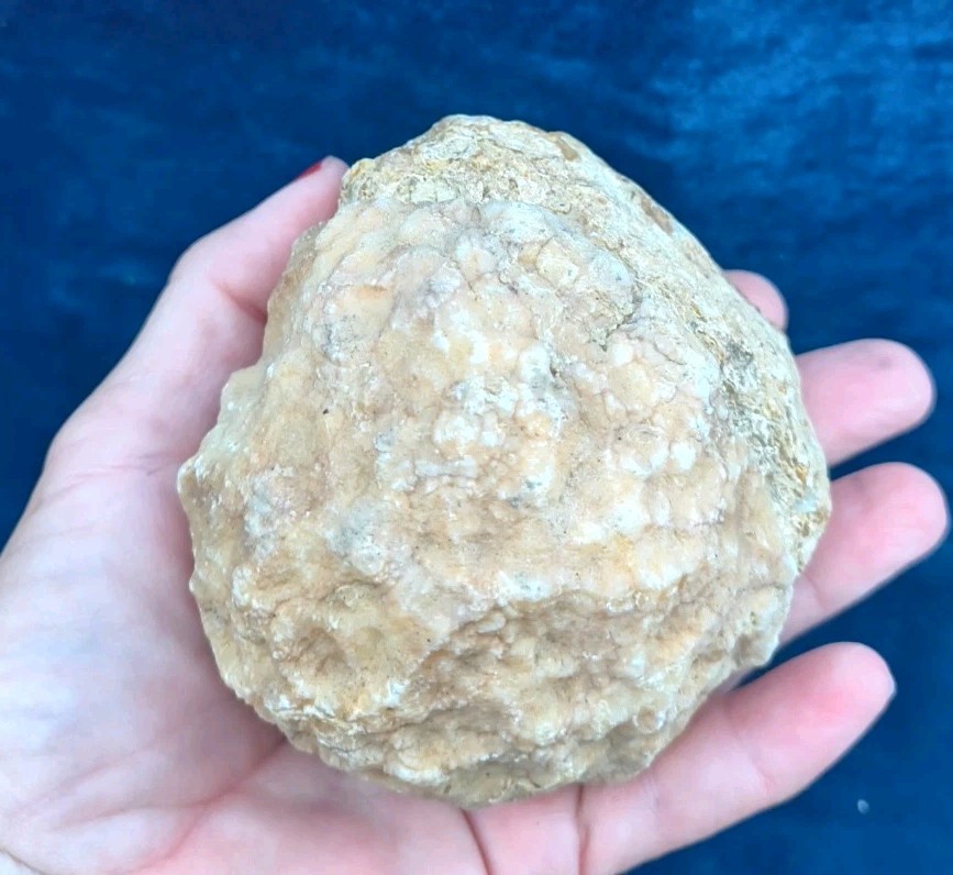 Large Kentucky Geode 3–5 inch – Crack Open Giant Quartz Crystal Rock – Authentic