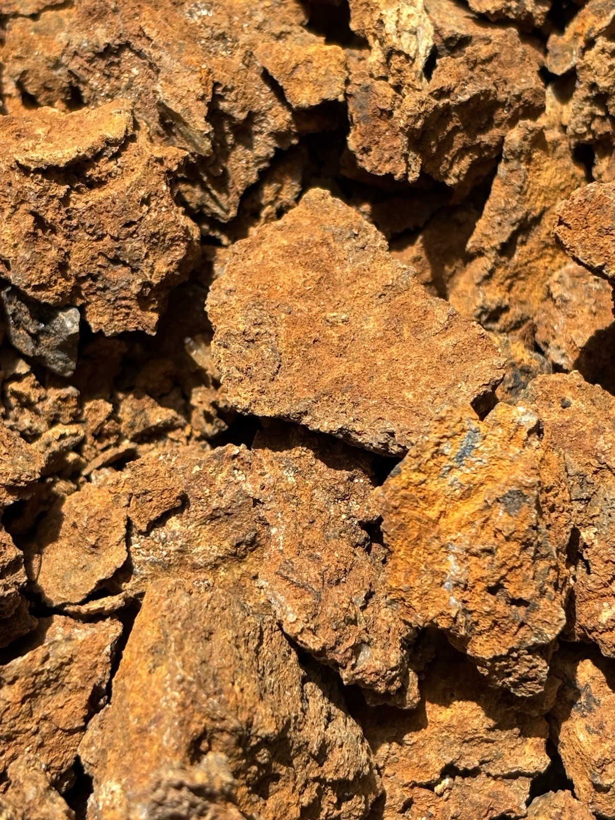 Gossan or iron cap Specimens from Ore deposit Mineral Vein in California.