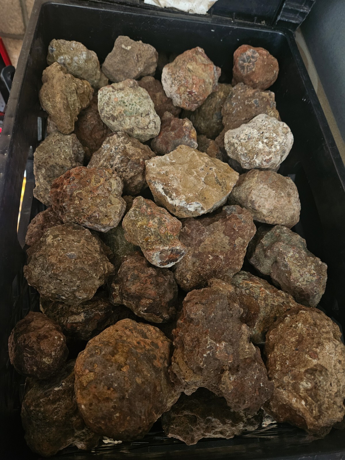 Condor agate Top grade or Premiun quality rough nodules 4 pounds