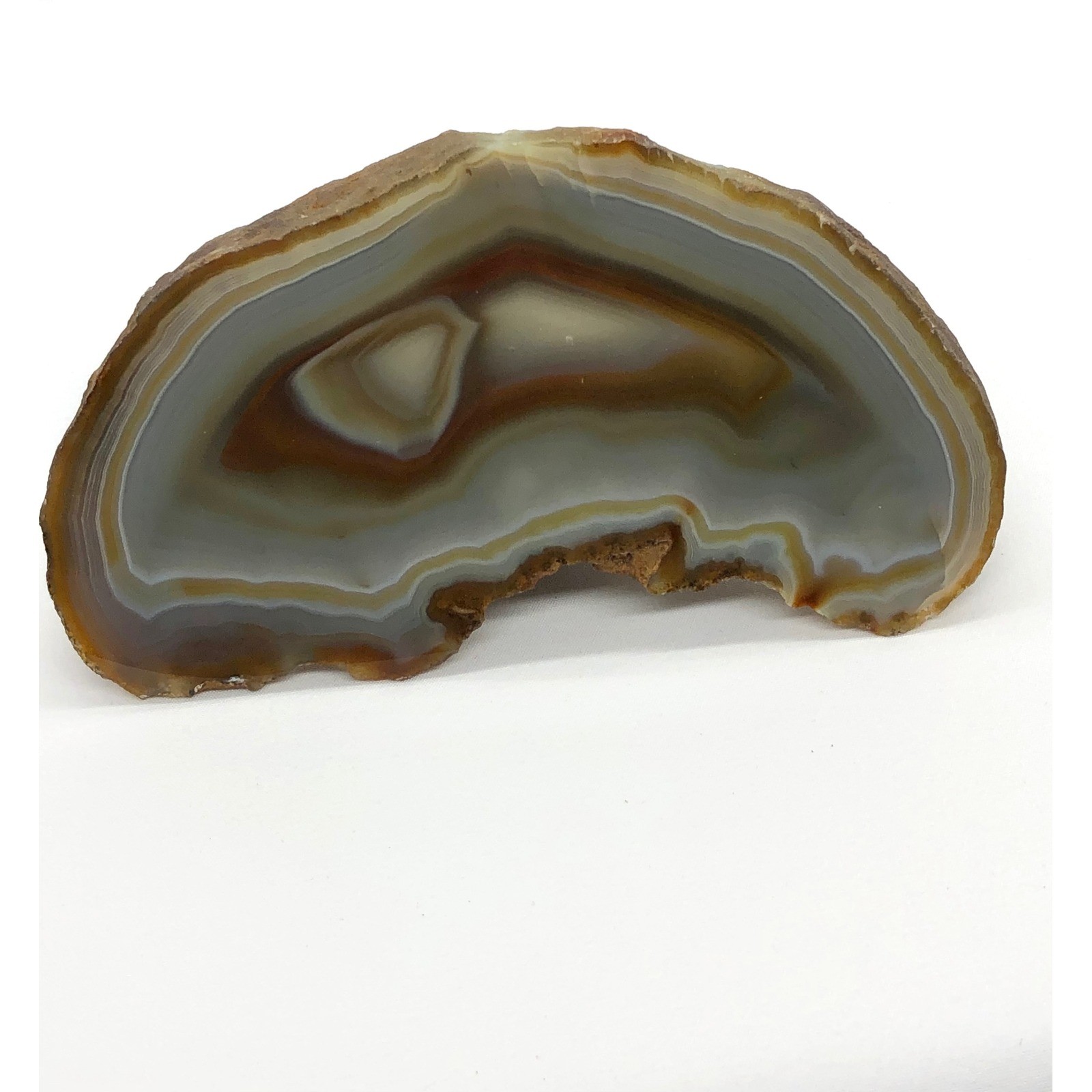 Natural Polished Banded Agate Slice Geode Specimen Brown Gray 5.25 Inch Decor