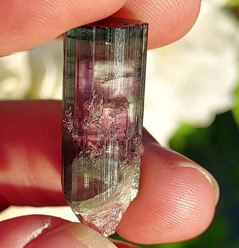 ULTRA RARE BURKHARD’S POCKET TOURMALINE NO REPAIRS PEDERNEIRA MINE BRAZIL