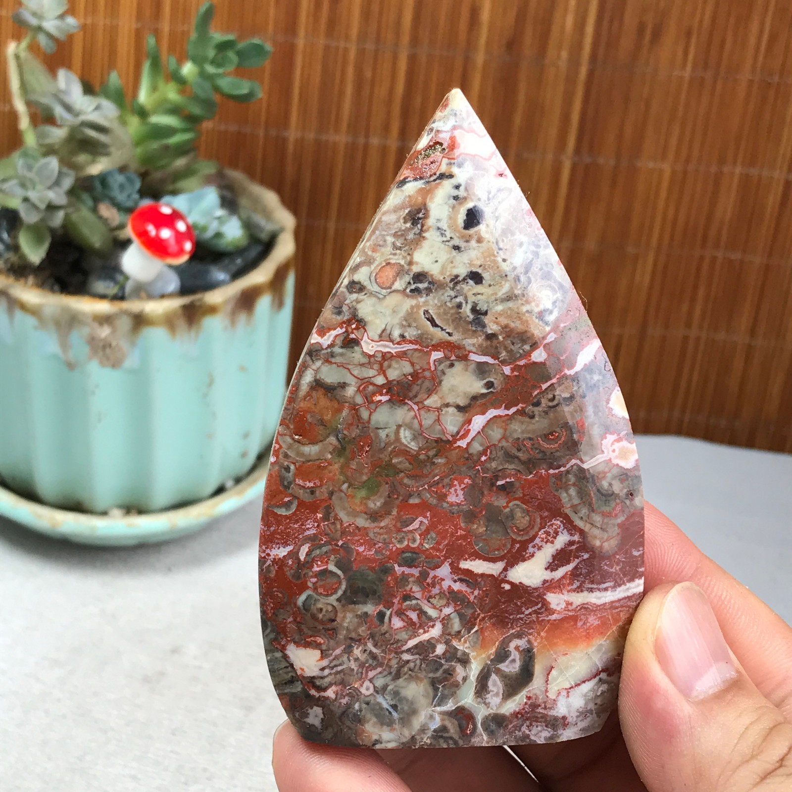 Natural money Mexico agate hand carve leaf Crystal Specimen free standing A6267