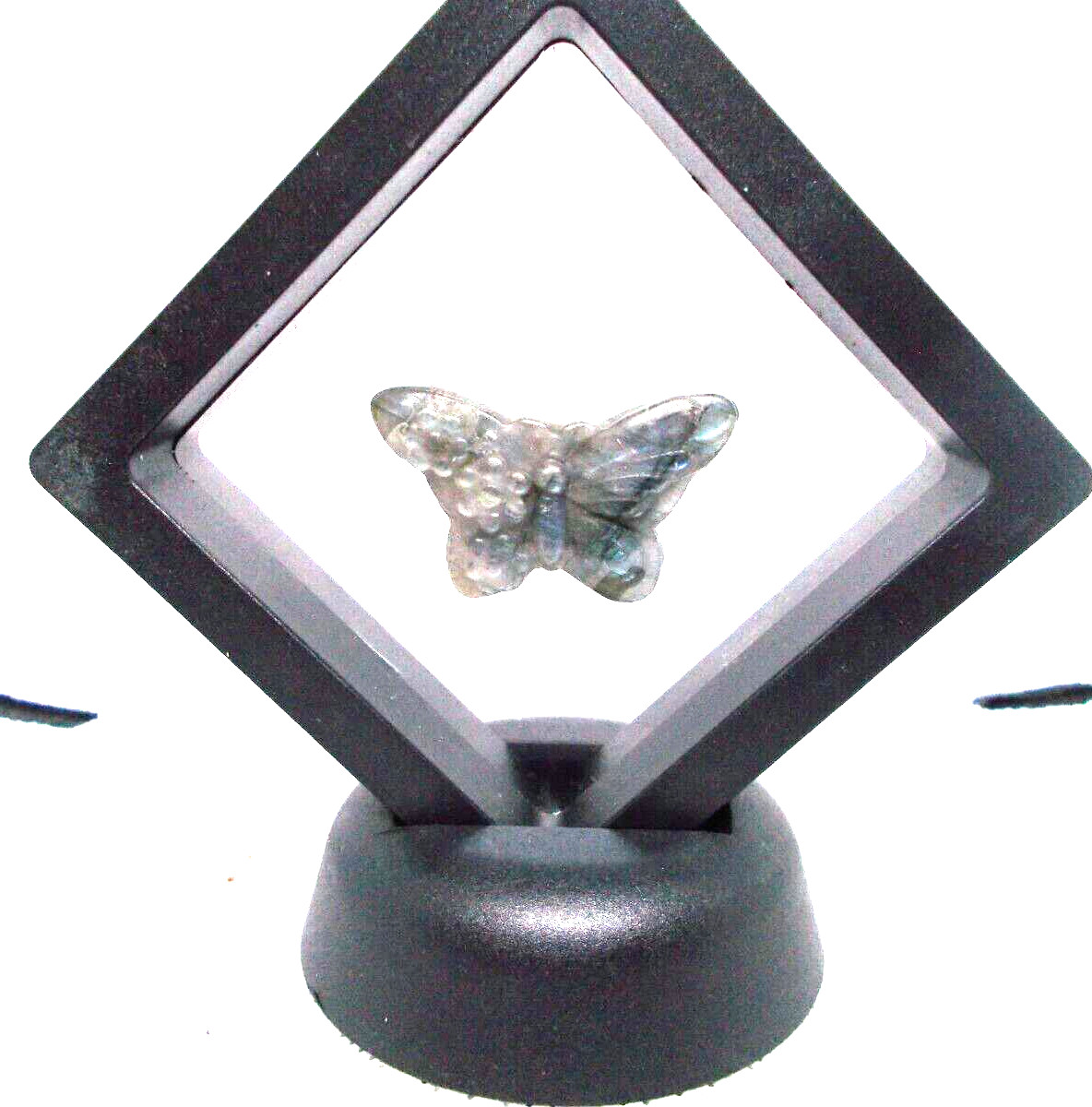 Labradorite blue carved butterfly 1 x 1/2 “in display frame