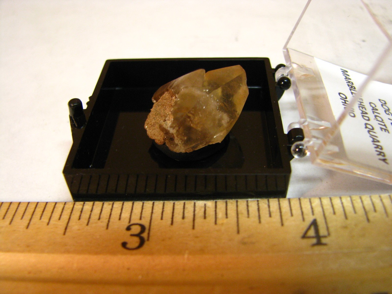 GOLDEN DOGTOOTH CALCITE CRYSTALS THUMBNAIL IN CASE MARBLEHEAD QUARRY OHIO #037