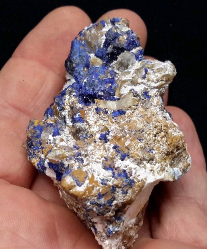 12 Piece AZURITE with QUARTZ and FLUORITE from Sierra Rica, Chihuahua, Mexico