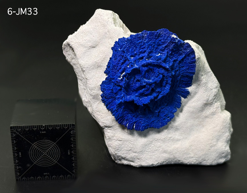 Azurite Sun – Genuine High Grade Large 3.25″ – NT Australia – Gemologist Seller
