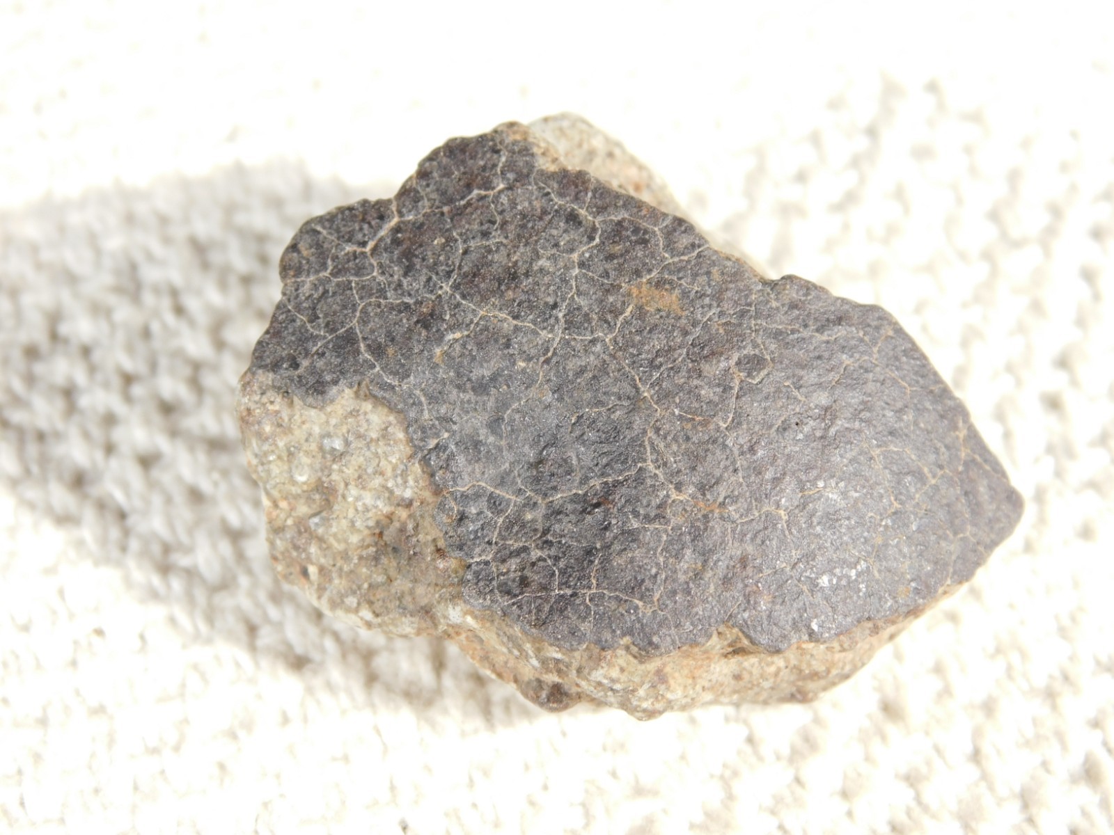 NWA 8245 METEORITE with DARK Fusion Crust & Contraction CRACKS Morocco 36.1gr
