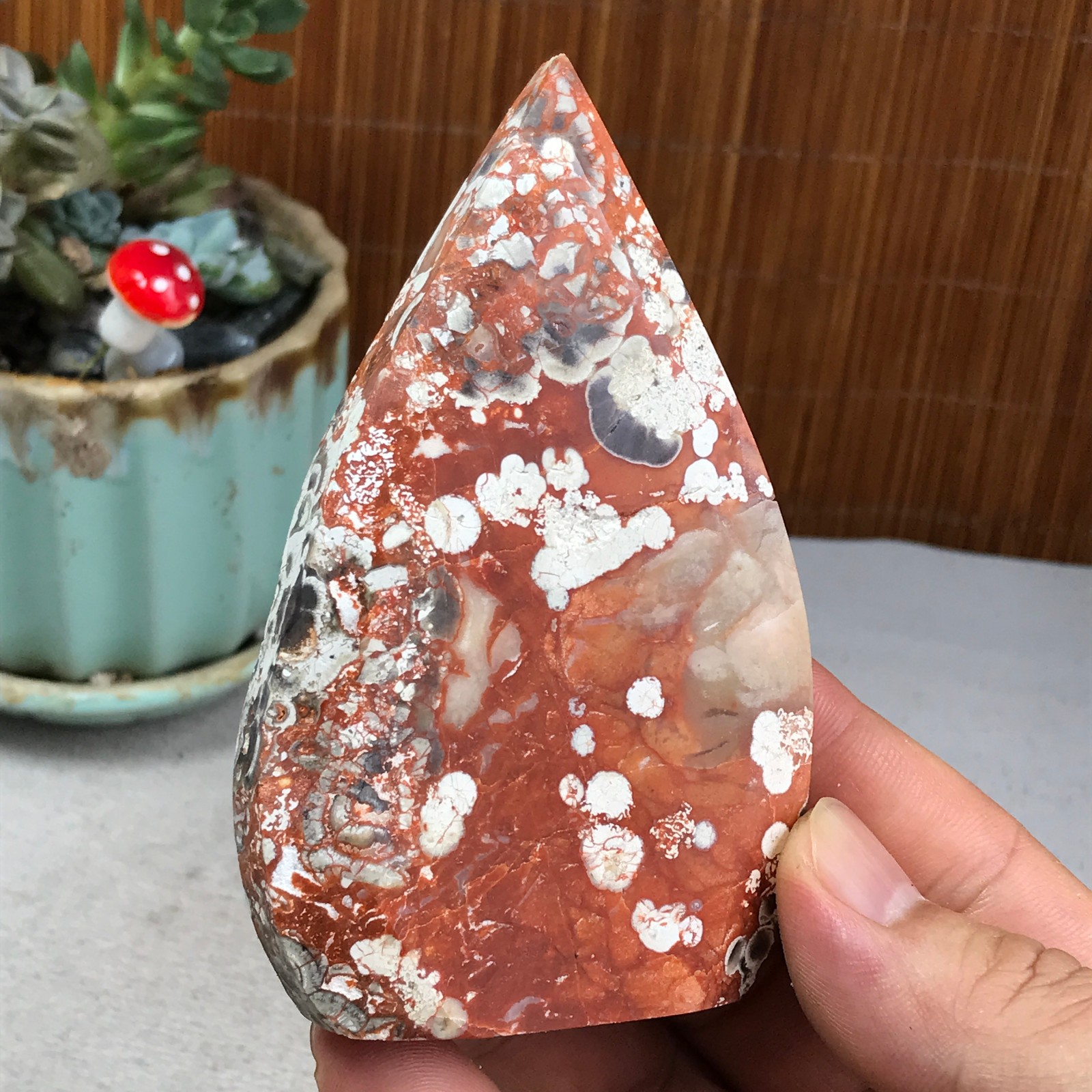 Natural money Mexico agate hand carve leaf Crystal Specimen free standing A6266
