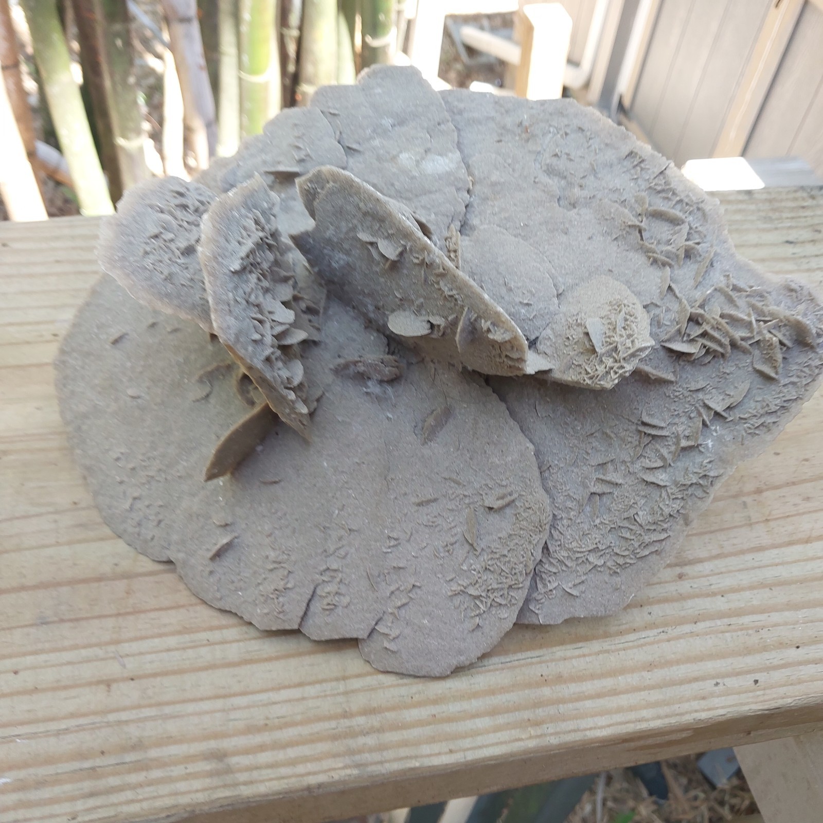 Desert Rose Selenite Gypsum Crystal Formation Mineral Specimen 12″ By 7″
