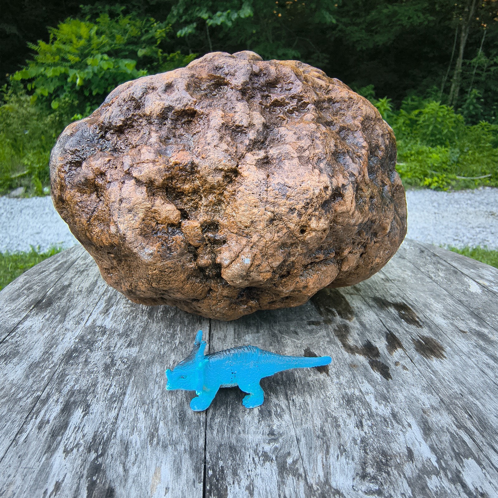 10.07b Kentucky Geode Unopened Natural Crystal Geode + Bonus