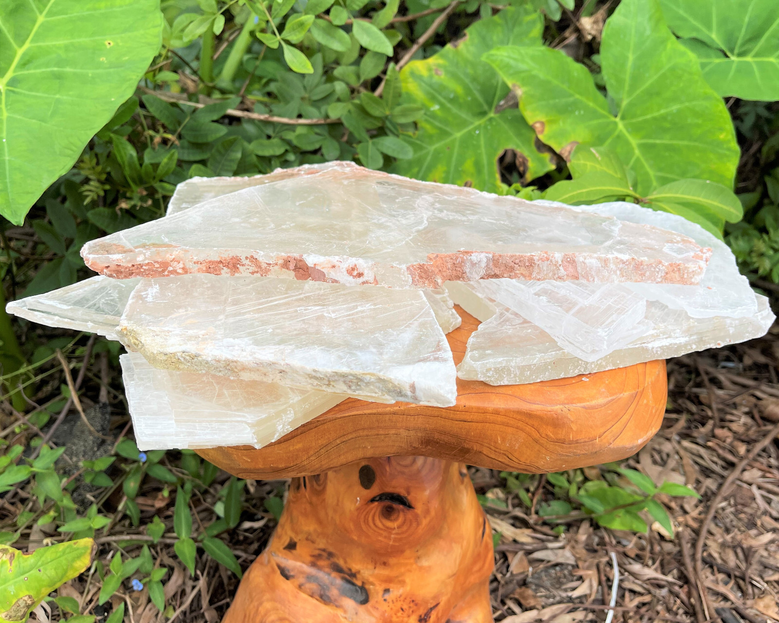 EXTRA LARGE Natural Selenite Slabs, 1-2 lb Stunning Raw Selenite Slices + Stand