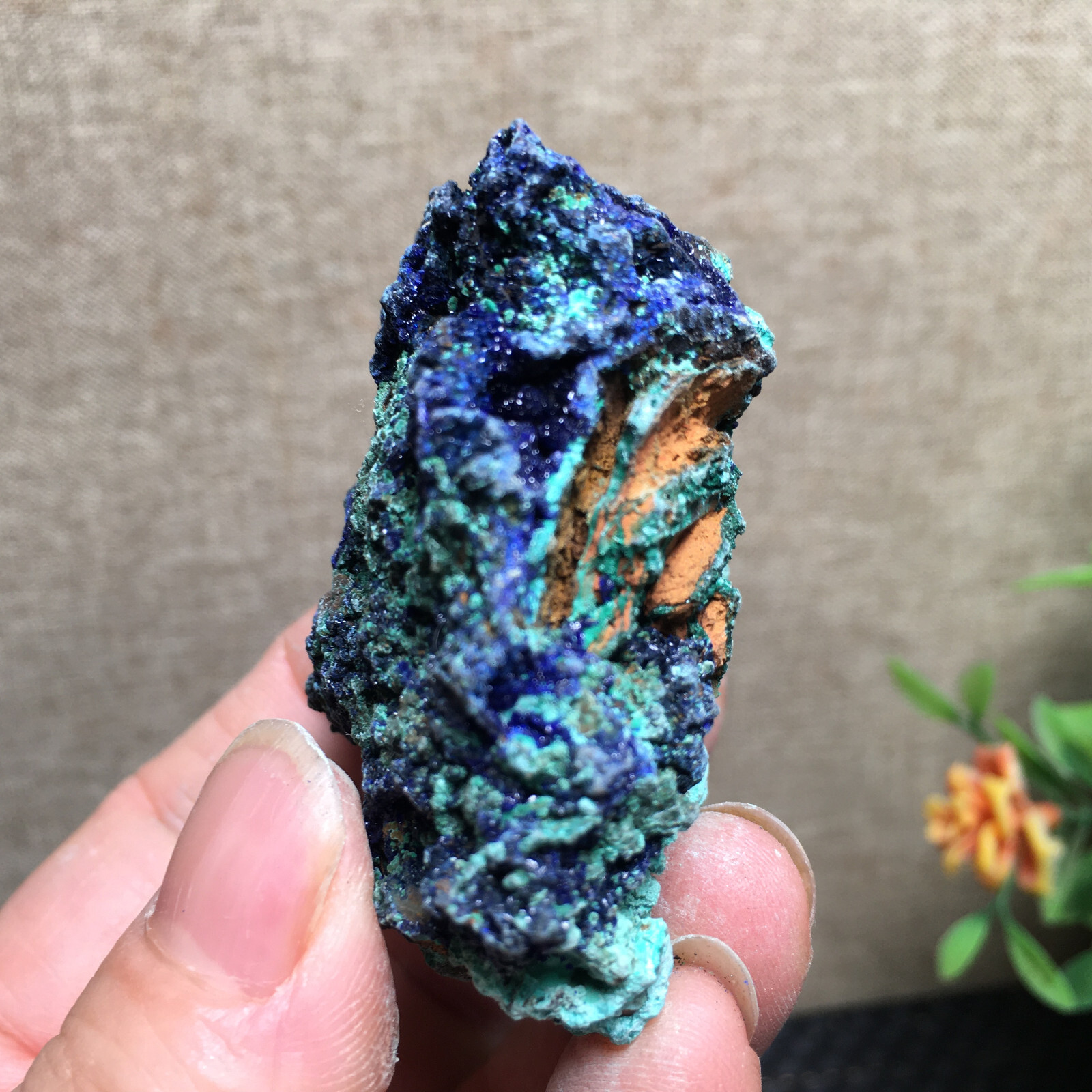 68g Natural Malachite and blue copper ore symbiotic specimens fd139