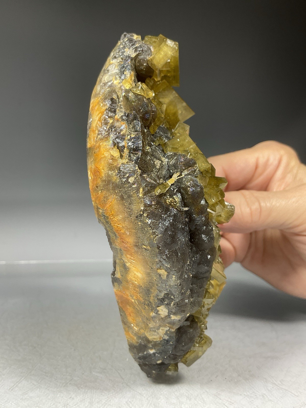 SS Rocks – Golden Barite on Fluorite (Xie Fang, Tiangxi, China) 1.42lbs