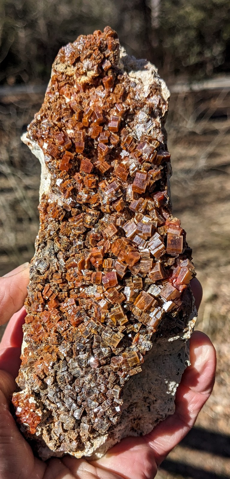 Large Vanadinite 2lb 5oz Deep Cherry Red Displays Well Morocco