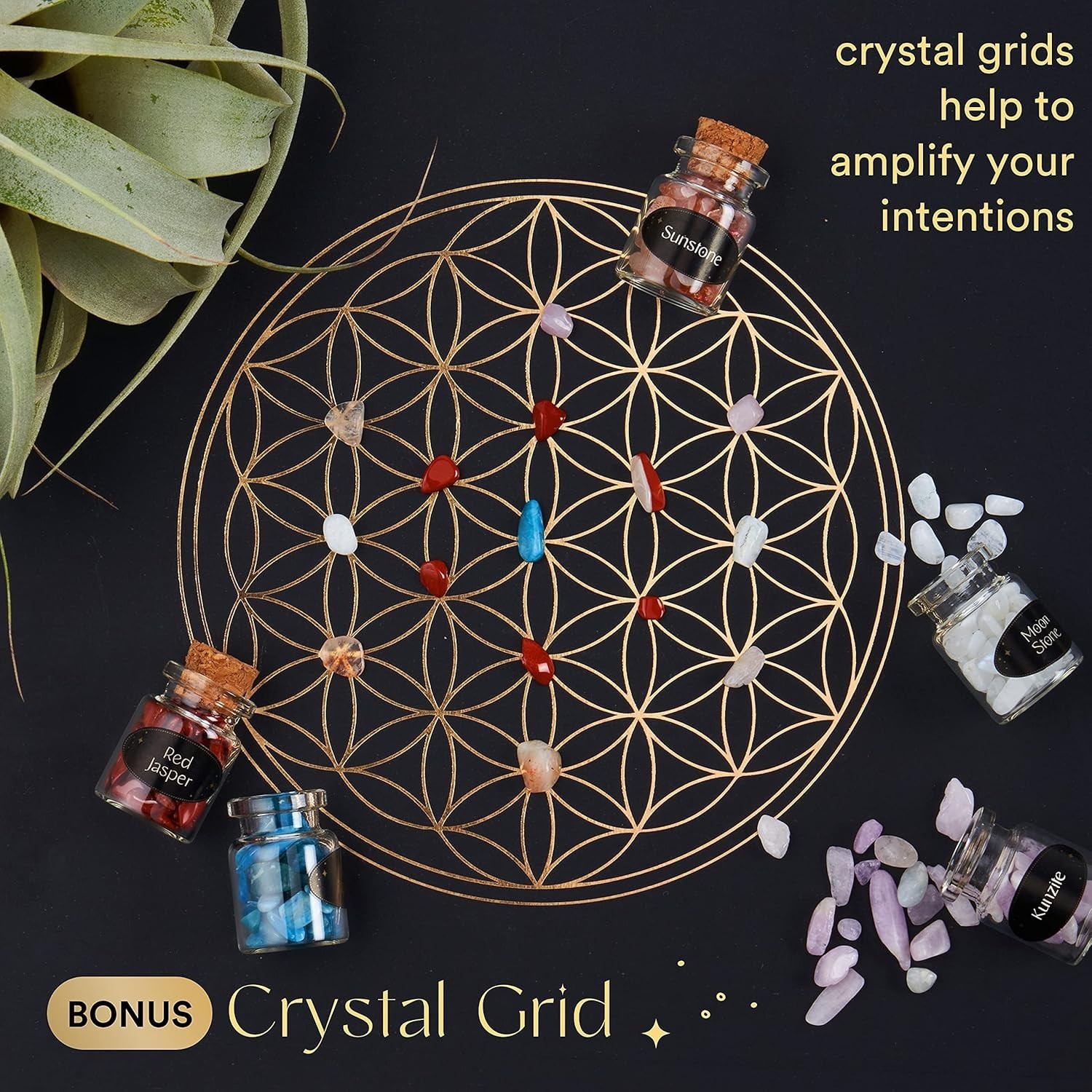 Enchanting Crystal Variety Pack | 50 Healing Stones & Crystal Grid for Beginners