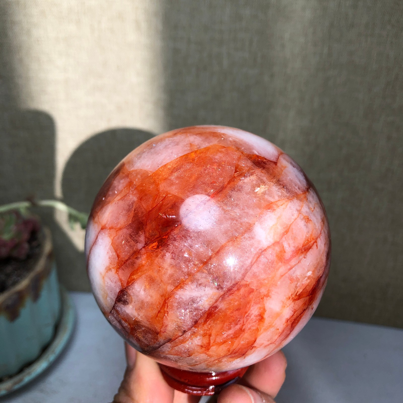 69mm Natural Red gum flower Crystal gemstone sphere ball Specimen 497g A3099