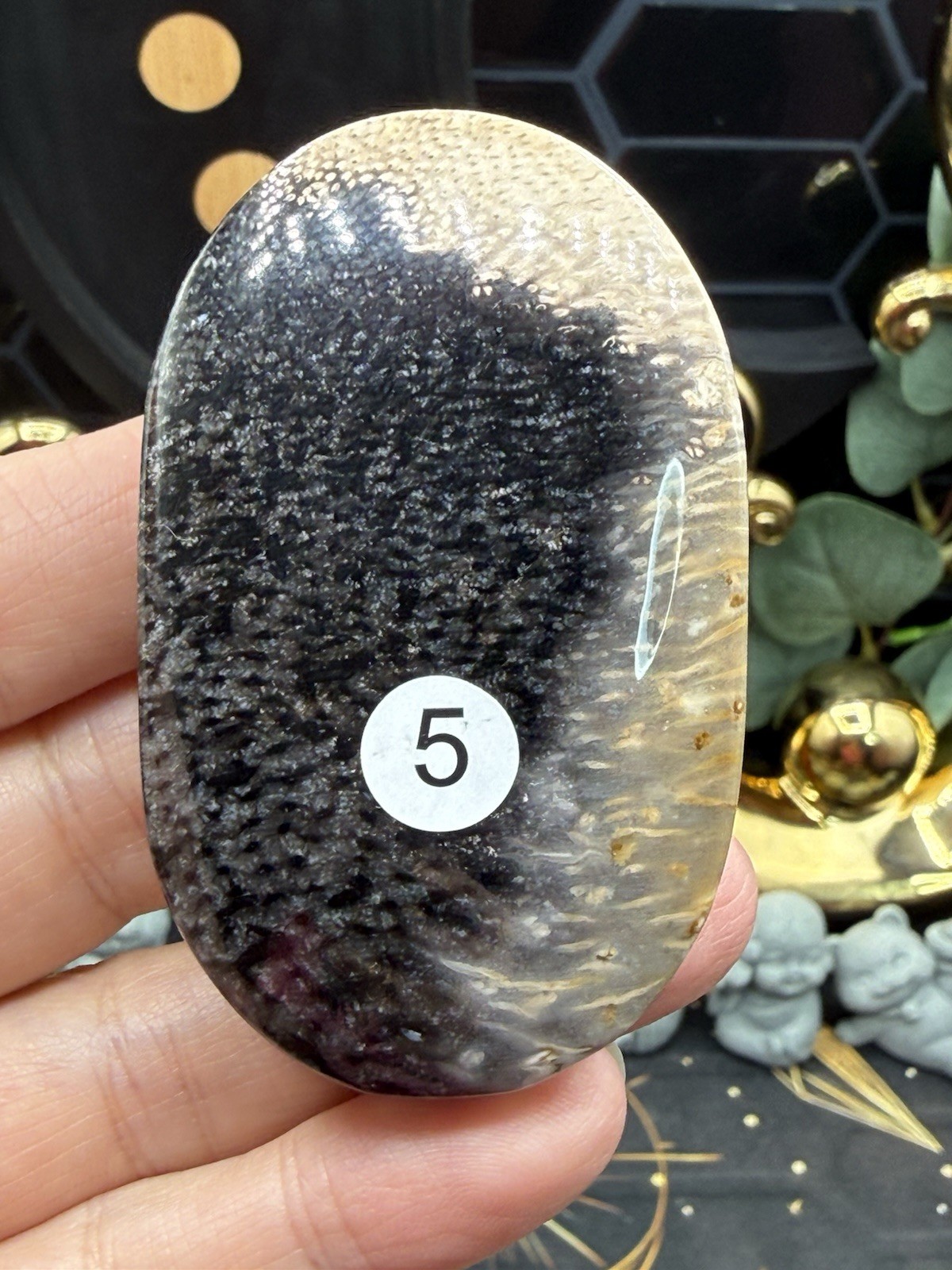Natural Indonesian Palm Root Palmstones Fossilised Wood Free shipping