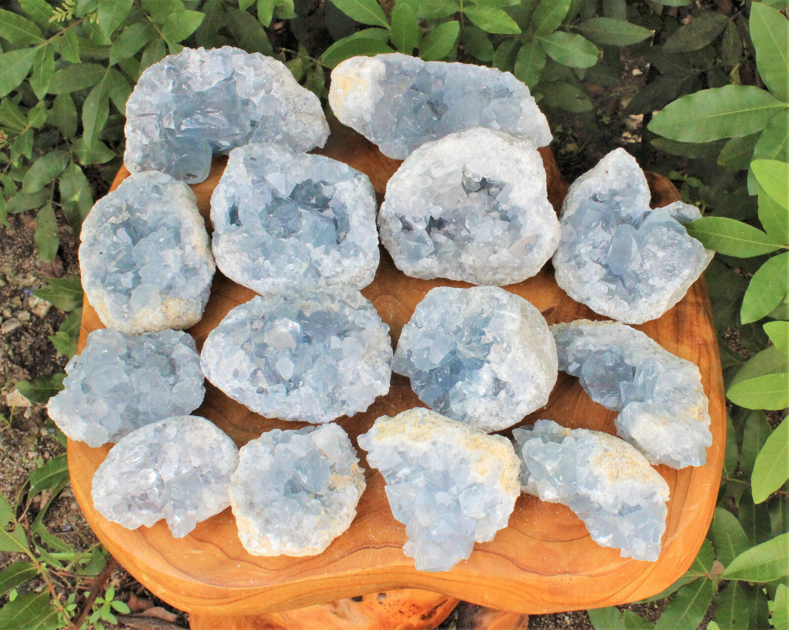 1 x AAA Grade Celestite Cluster LARGE 3″ – 4″ Blue Celestine Druzy (1 – 1.5 lb)