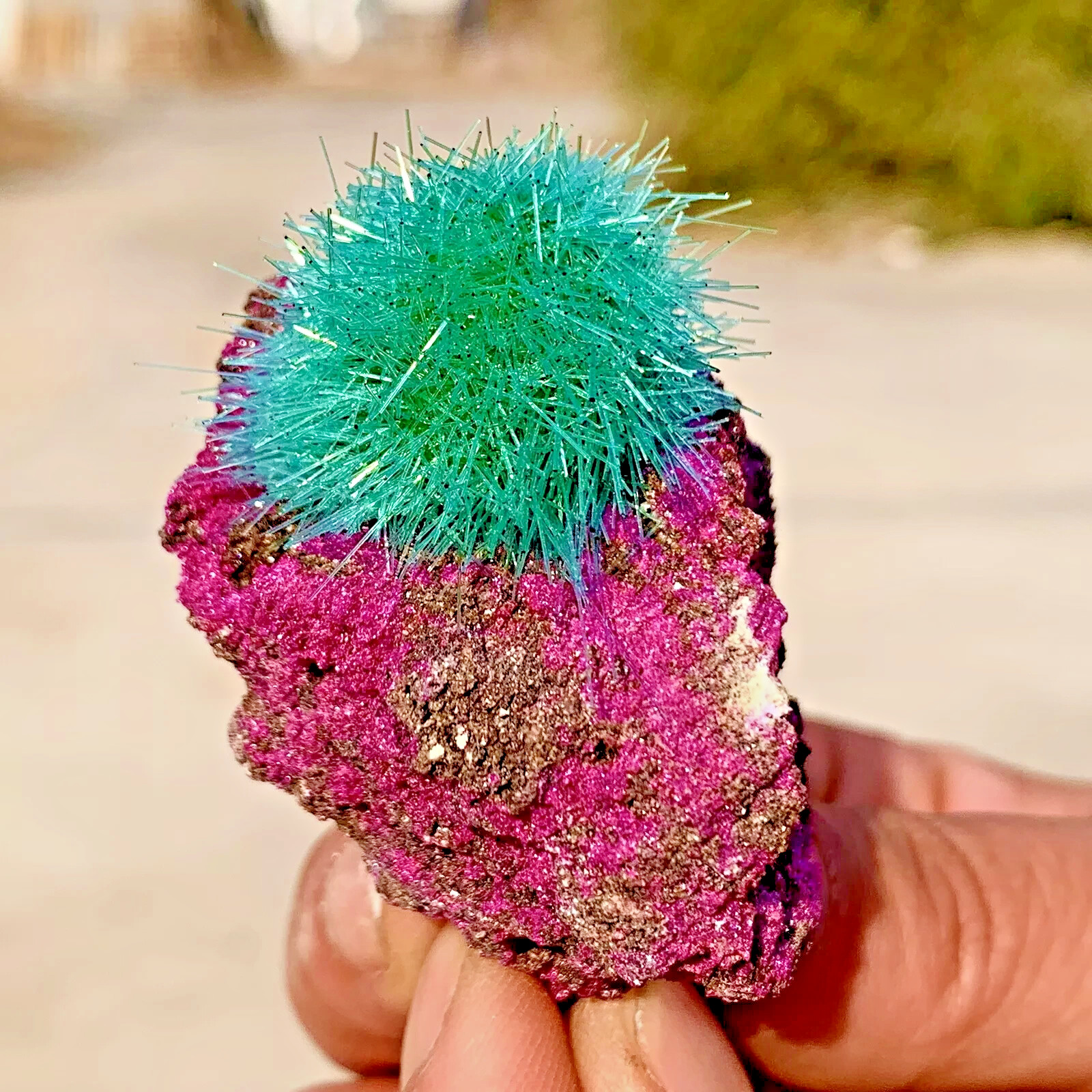 RARE Dandelion Zeolite Cluster Titanium Geode Quartz Crystal Healing Specimens
