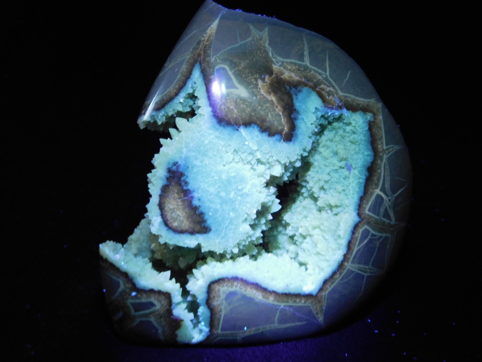 Big Polished AAA Crystal Filled Hollow Septarian GEODE Free Form Utah 1044gr