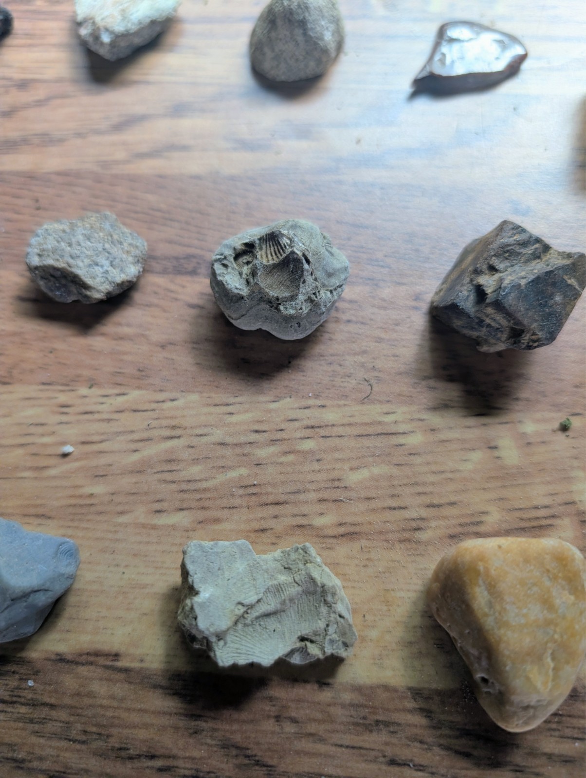 Crystals, Fossils, and Minerals, Rock Lot Stones 100% Natural Mixed Estate Find