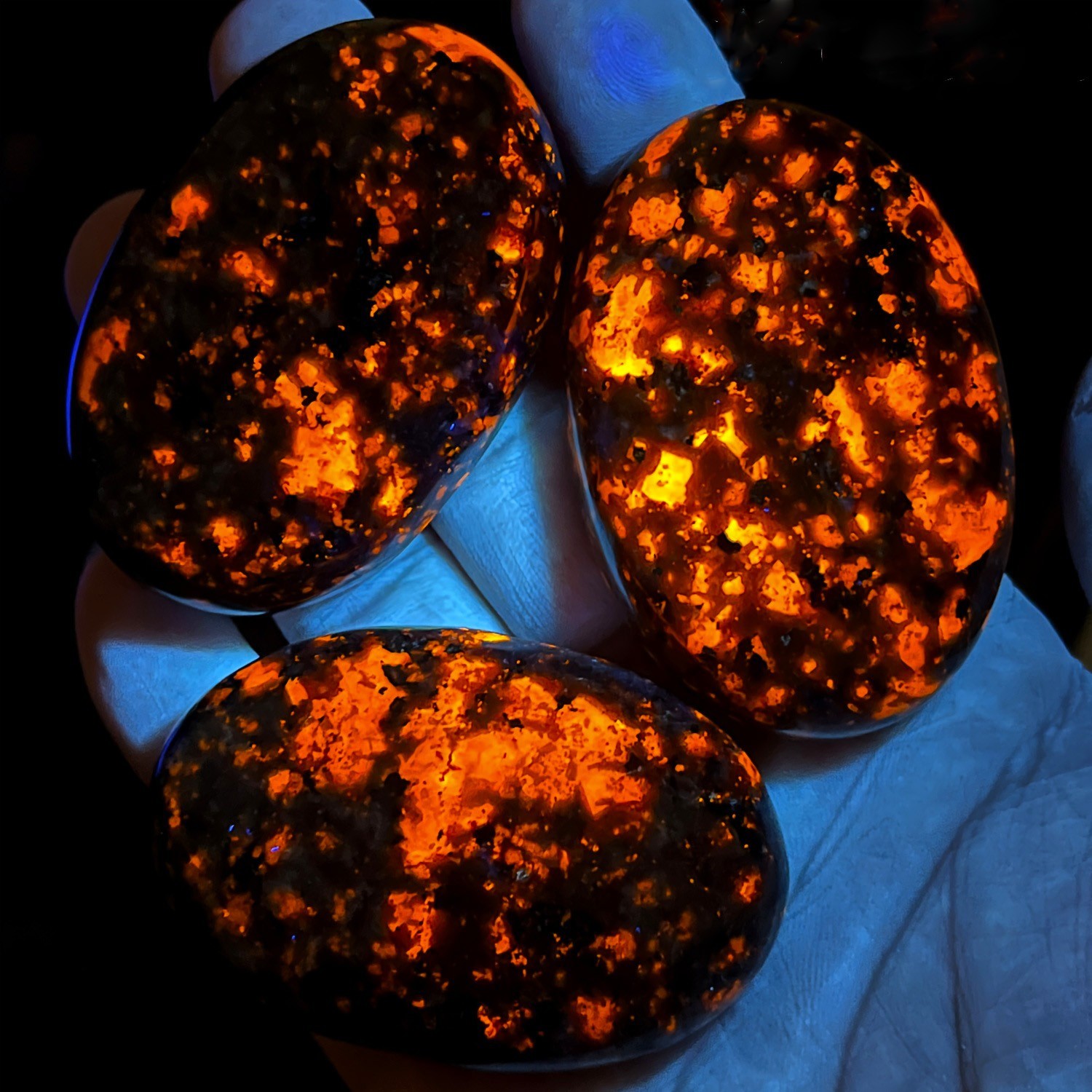 Natural Yooperlite Flame Palm Stone UV Reactive Glowing Sodalite Stone Mineral
