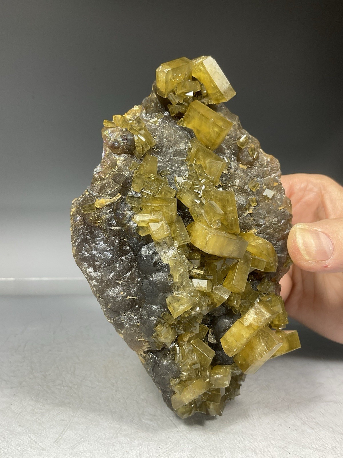 SS Rocks – Golden Barite on Fluorite (Xie Fang, Tiangxi, China) 1.42lbs