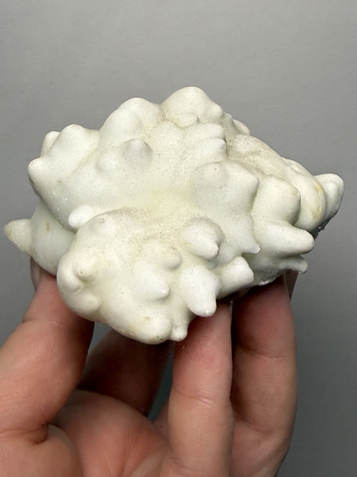 Superb White Flos Ferri Aragonite “Flower of Iron” | Lom Vitošov, Czech Republic